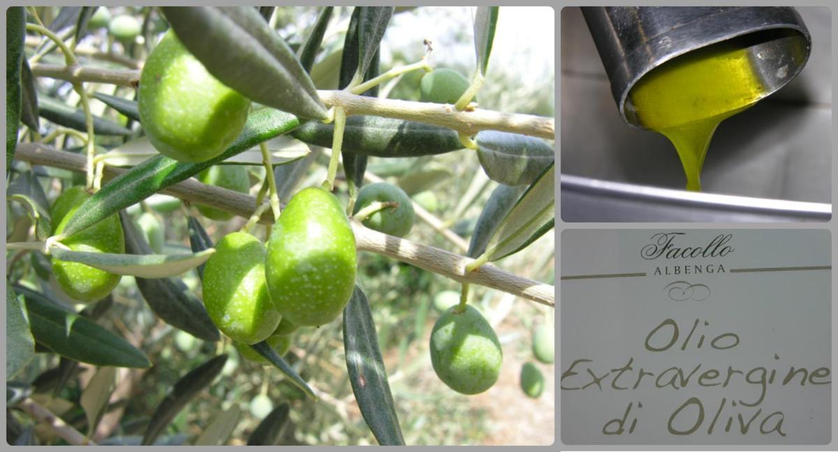 Casa Leuca Albenga 아파트 외부 사진